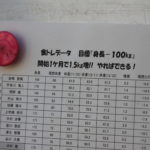 【小平西 野球部】2リットルタッパーで体重アップ