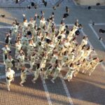 第96回選抜高校野球大会 選考レポート【作新学院】「いざ全国制覇へ」